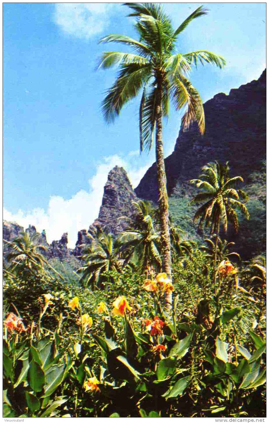 TAHITI - PAYSAGE DE L´ILE ENCHANTERESSE DE MOOREA - Polynésie Française