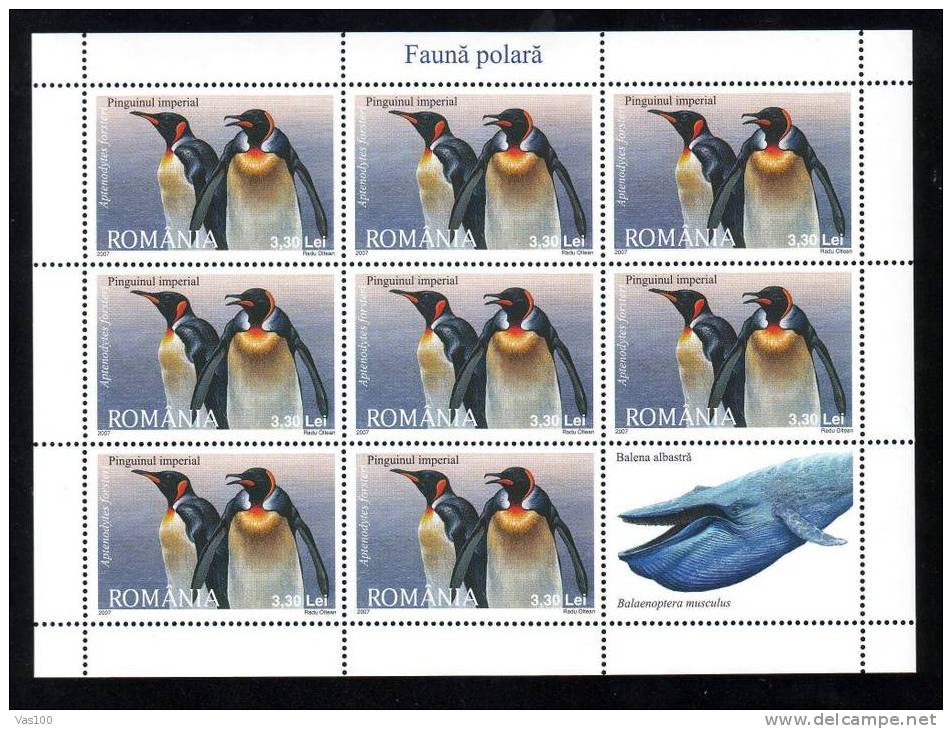 Penguin MS 8 STAMP + LABEL 2007 MNH, ROMANIA - Pingouins & Manchots