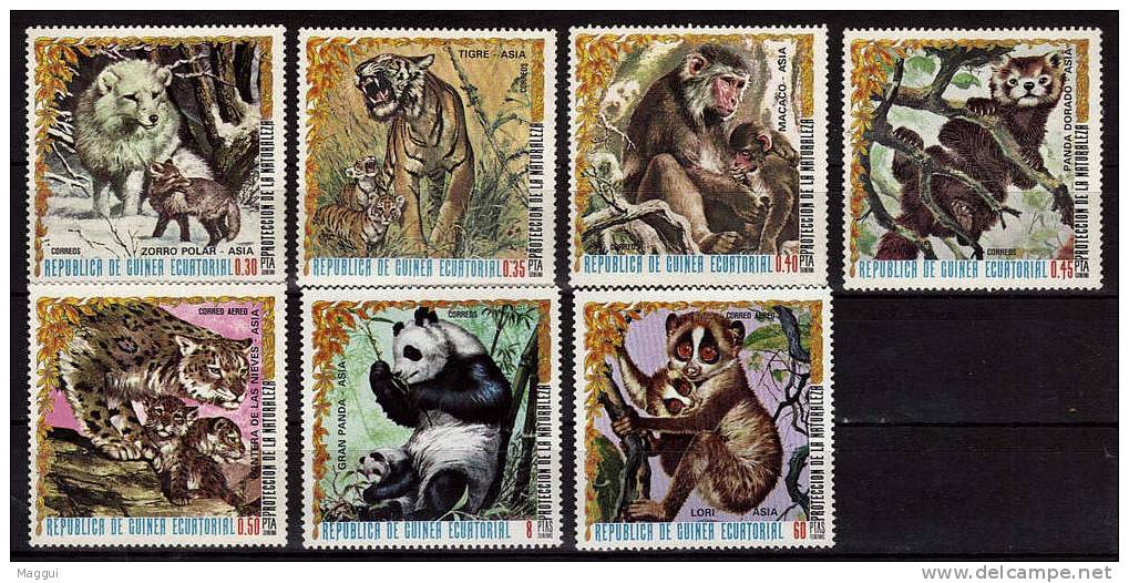 GUINEE EQUATORIALE   N° 90 PA 74   * *  Ours Panda Loups Tigre Felins Singes - Bears