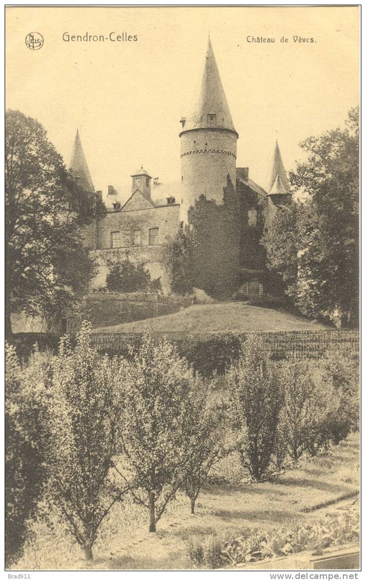 Gendron - Celles: Chateau (1924) - Celles