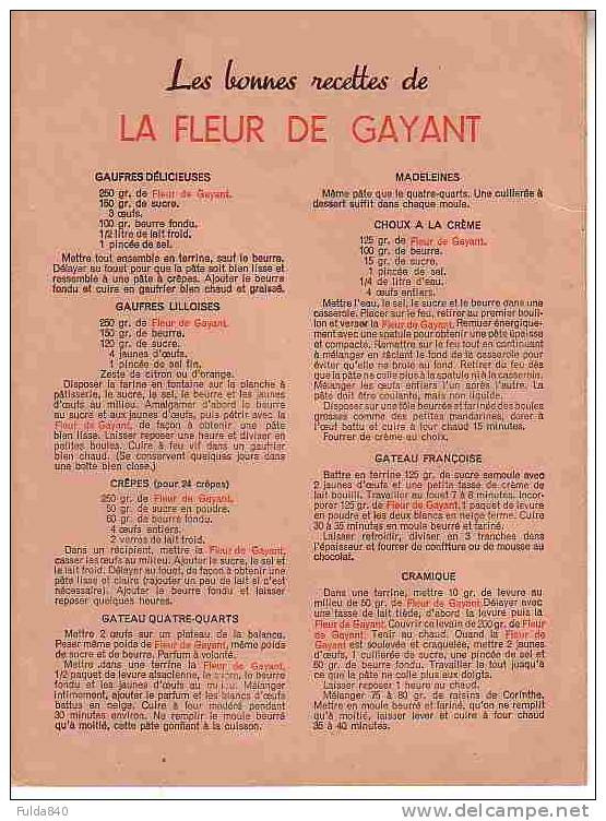 Douai.   FLEUR DE GAYANT  - Moulin Des Moudreurs.   (Protège Cahier Publicitaire) - B