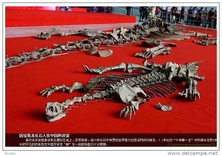 05Y-087  H@   Dinosaur Fossils  ( In China Science And Techology Museum  ) ( Postal Stationery , Articles Postaux ) - Fossili