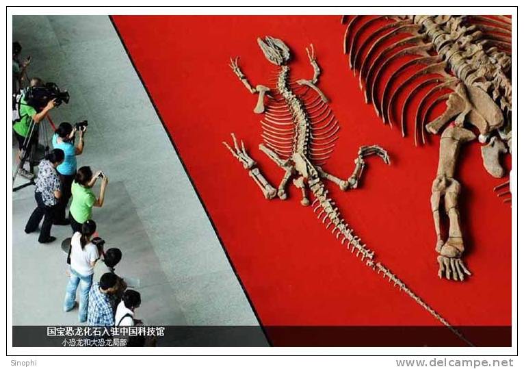 05Y-088  H@   Dinosaur Fossils  ( In China Science And Techology Museum  ) ( Postal Stationery , Articles Postaux ) - Fossielen