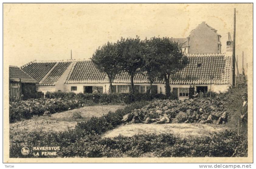 Raversyde - La Ferme / De Boerderij - Middelkerke