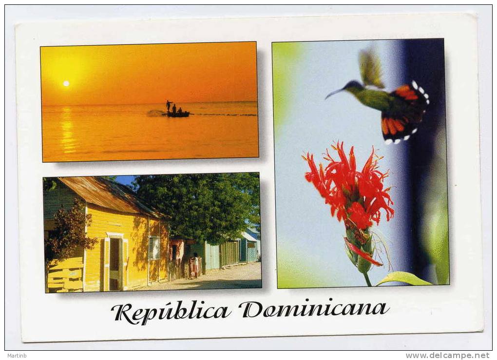 CPM REPUBLICA DOMINICANA Colibri - Dominicaine (République)