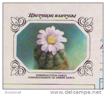 Flowers Fleus Cactus Végétaux Vegetables Cover Postal Stationery Entier Postal EESTI URSS 1991 Sp1041 - Cactusses