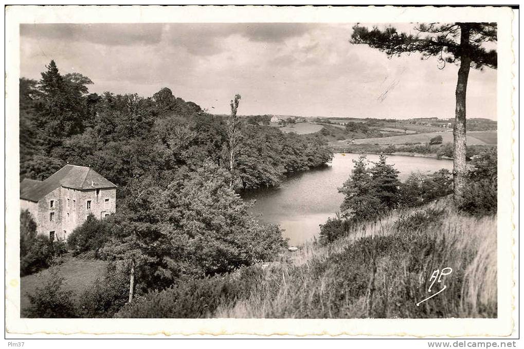 MUZILLAC - L'Etang De Penmur - Muzillac