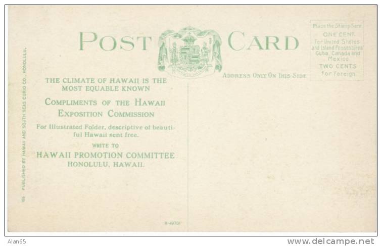 Bananas Growing Hawaii, Hawaii Exposition Committee, Hawaii Promotion Committee 1910s Vintage Postcard - Other & Unclassified