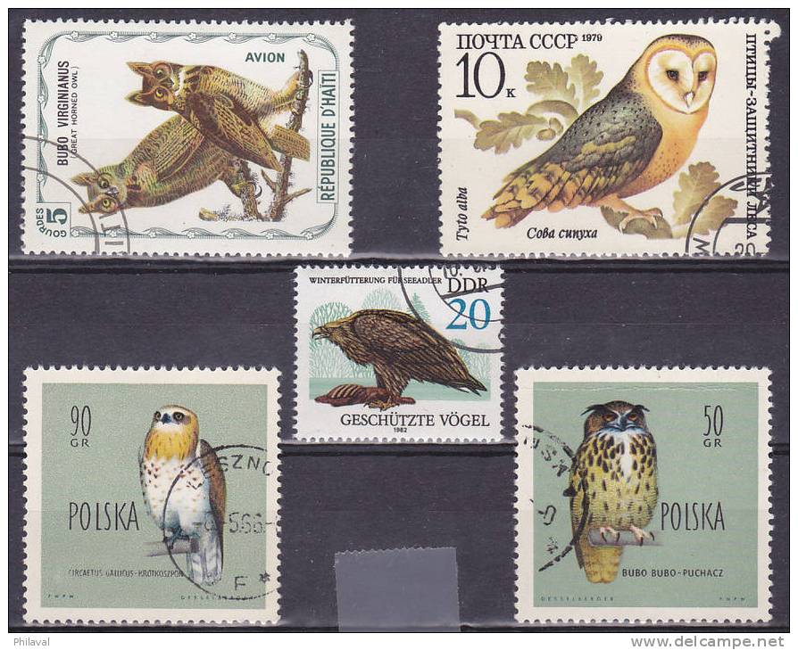 5 Timbres Sur Le Thème Des Oiseaux Rapaces - Aigles & Rapaces Diurnes