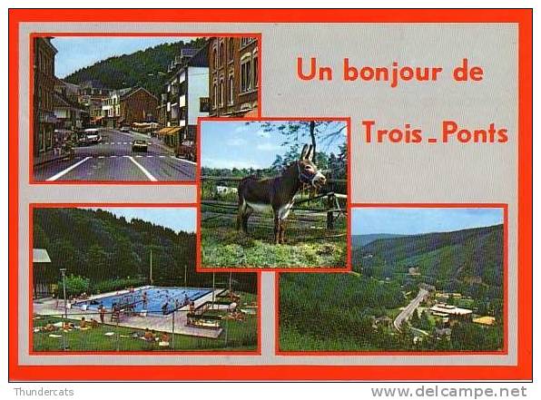 UN BONJOUR DE TROIS PONTS ANE PISCINE - Trois-Ponts