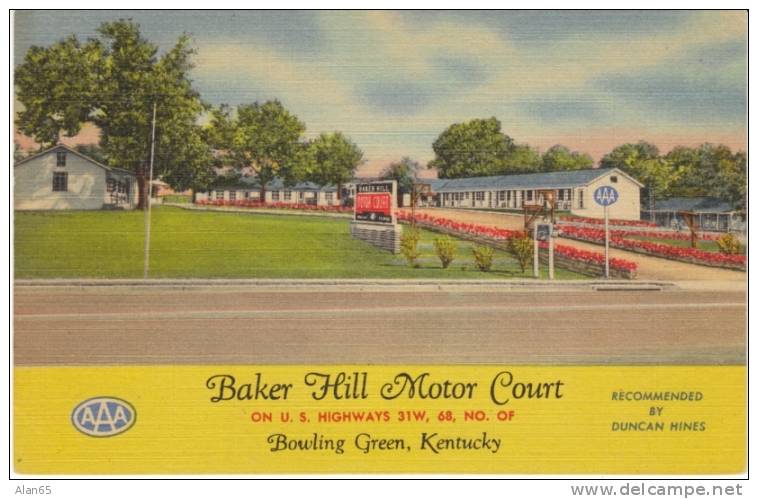 Bowling Green KY, Baker Hill Motor Court Curteich C1950s Vintage Linen Postcard, Motel Lodging - Andere & Zonder Classificatie