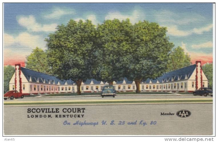 London KY, Scoville Court Motel, On 1940s Vintage Curteich Linen Postcard, Lodging - Altri & Non Classificati