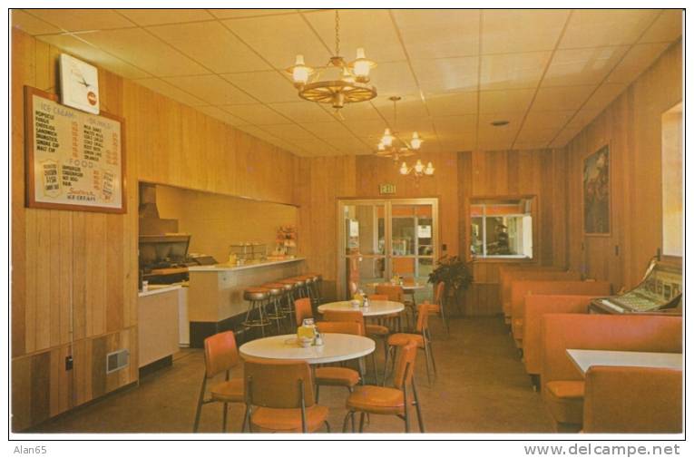 Knox Indiana, Horse Palace Coffee Shop, Jukebox 1950s Decor, Cigarette Machine On 1950s Vintage Postcard - Altri & Non Classificati