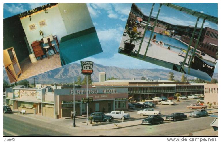 Flamingo Hotel, Tucson AZ, Interior View With Television, 1950s Vintage Autos On Postcard - Tucson