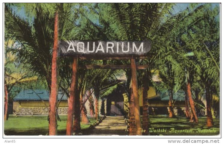 Aquarium On Waikiki Honolulu Hawaii On C1910s Vintage Postcard - Honolulu