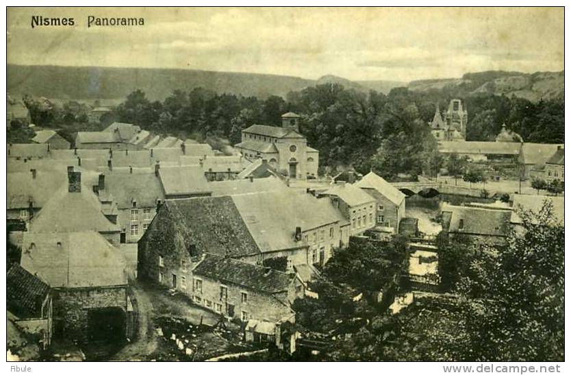 NIMES   Belgique Panorama - Viroinval