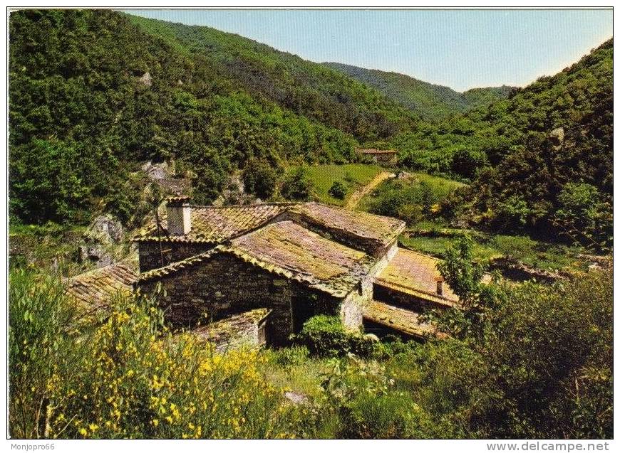 CPM D Une Vieille Demeure Cévenole Dans Les Gorges Du Gardon - Languedoc-Roussillon