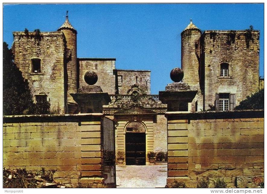 CPM De Sommières   Entrée Du Château De Villevieille - Sommières