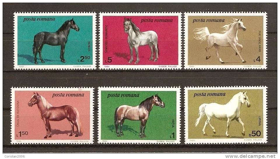Romania 1984 MNH / Horses / 6 Val - Unused Stamps