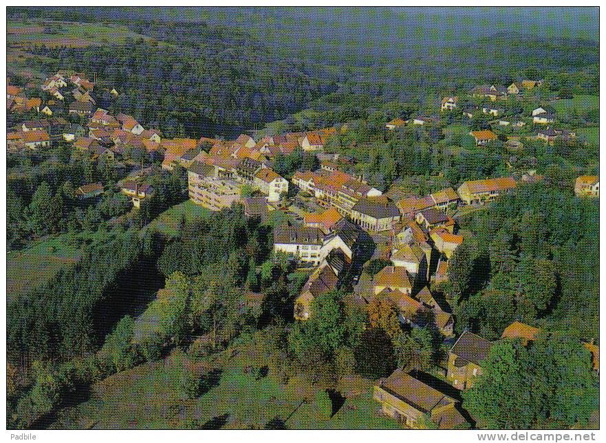 Carte Postale 67. La Petite-Pierre Vue D´avion Trés Beau Plan - La Petite Pierre