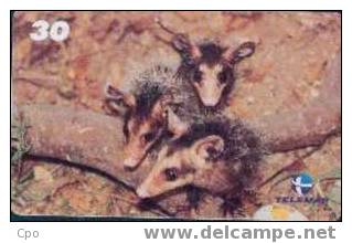 # BRASIL 9910A6 Baby Zoo - Gamba -animal- 30  10.99 Tres Bon Etat - Brazil