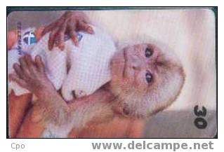 # BRASIL 9910A5 Baby Zoo - Caiarara Branco -animal,monkey,singe-  30  10.99 Tres Bon Etat - Brésil