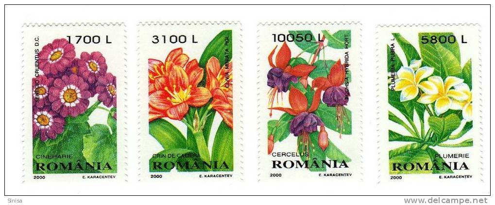 Romania / Flowers - Gebruikt