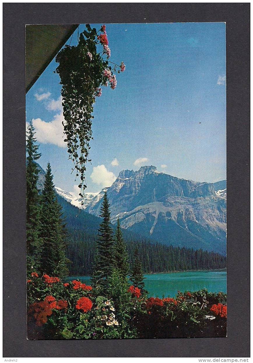 CANADIAN ROCKIES - ALBERTA - BANFF - THE GLACIER FROM EMERALD LAKE CHALET - PHOTO COURTESY C.P.R. - Banff