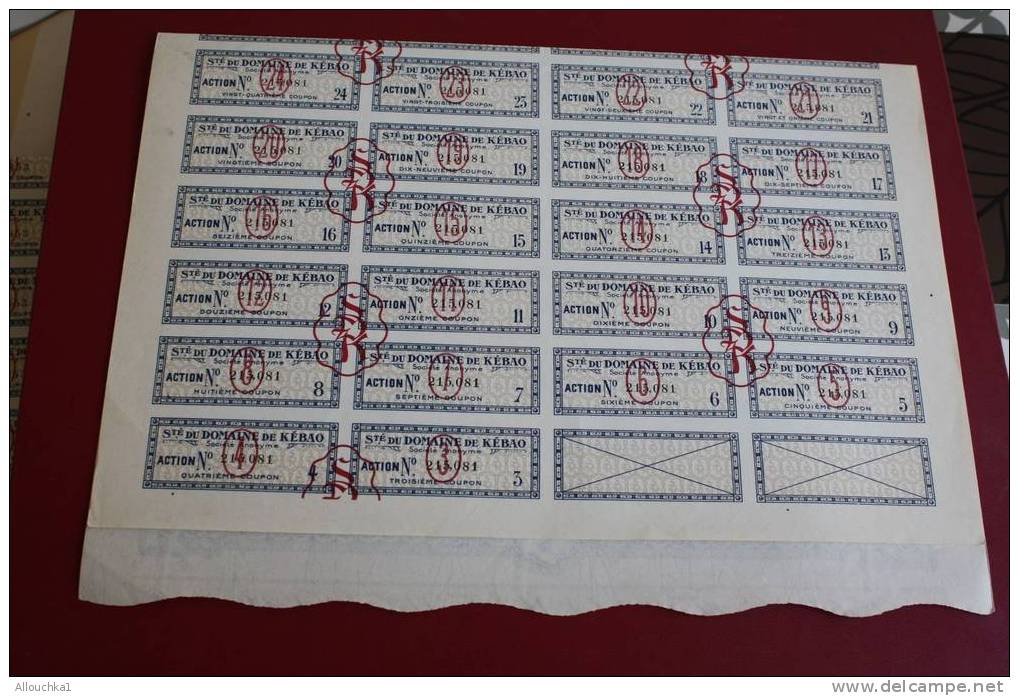 1927 SCRIPOPHILIE TITRE OU ACTION SOCIETE DU DOMAINE DE KEBAO ALGERIE  100 FRANCS - Industrie