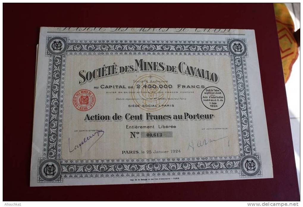 1924  SCRIPOPHILIE TITRE OU ACTION SOCIETE DES MINES DE CAVALLO 100F   AU PORTEUR - Mines