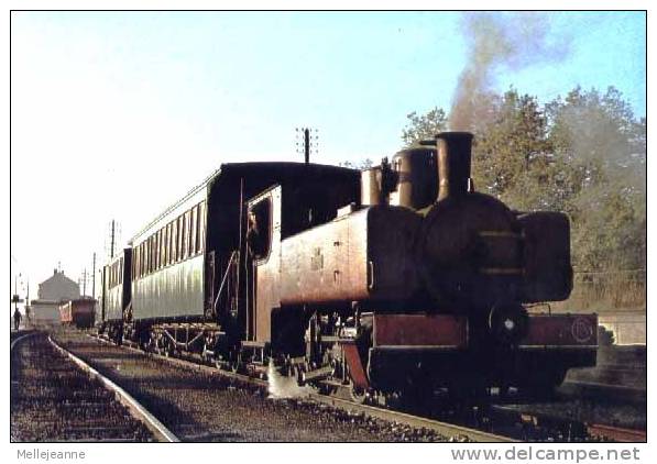 Cpsm Train En Gare De Noyelles Sur Mer (80) - Noyelles-sur-Mer