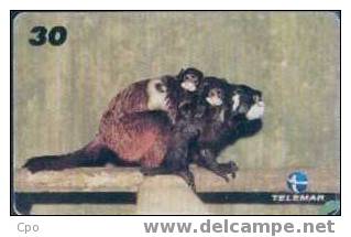 # BRASIL 9910A3 Baby Zoo - Sagui Bigodeiro -animal- 30  10.99 Tres Bon Etat - Brésil