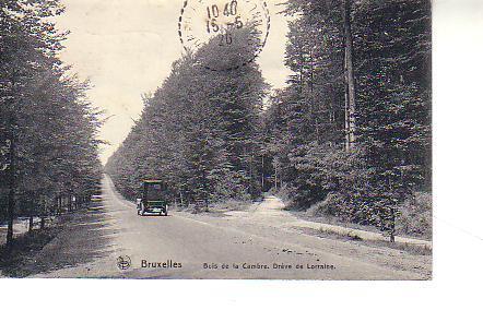 Nels Bruxelles :1920 Bois De La Cambre, Drève De Lorraine - Forêts, Parcs, Jardins