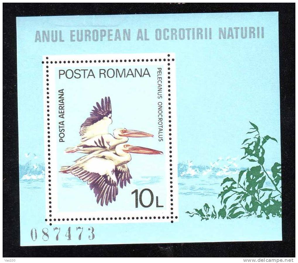 BIRDS,PELICANS  1980,WWF ,Protection  Birds PELICAN Block ,MNH,Romania. - Pélicans