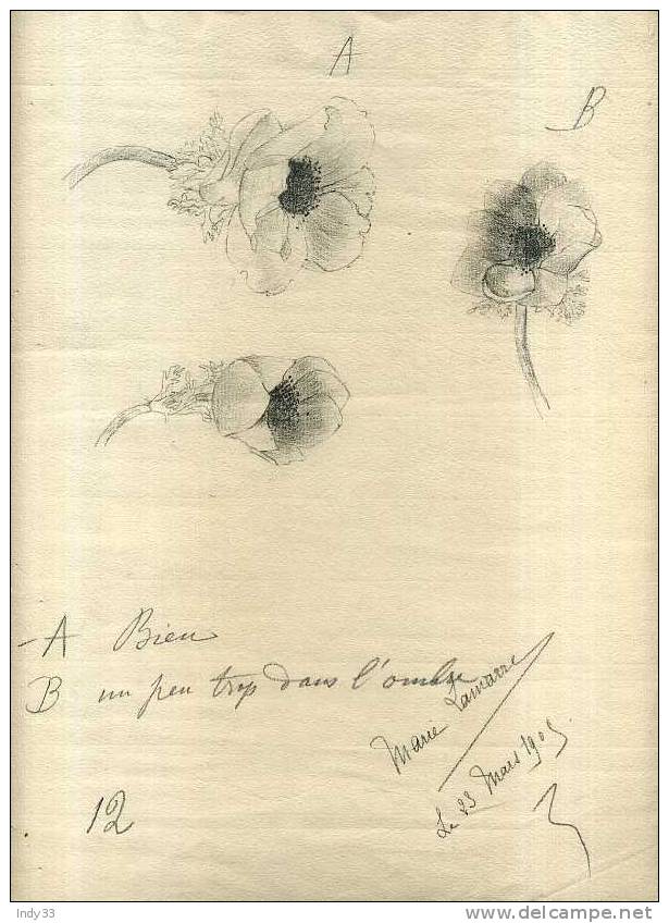 - ETUDE D'ANEMONES  . DESSIN  D´ECOLIER  SIGNE ET DATE 1905 - Dibujos