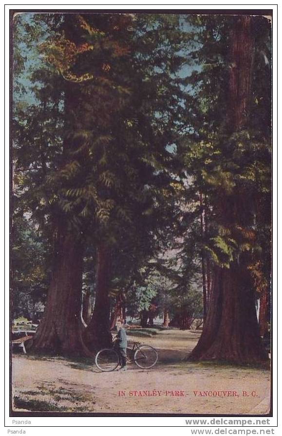 In Stanley Park, Vancouver. Private Post Card. European Import Co., Vancouver, Serie Photochromie No. 109 - Vancouver