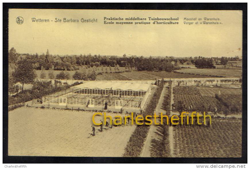 ZELDZAME ** WETTEREN - Ste Barbara Gesticht - Geanimeerde Moeshof En Warenhuis - Tuinbouwschool*** - Wetteren