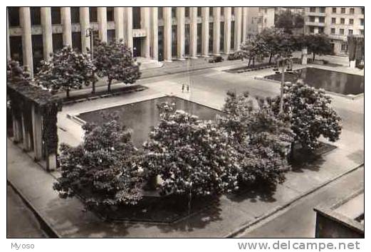 69 VILLEURBANNE Centre Ville Bassins Place De La Liberation - Villeurbanne