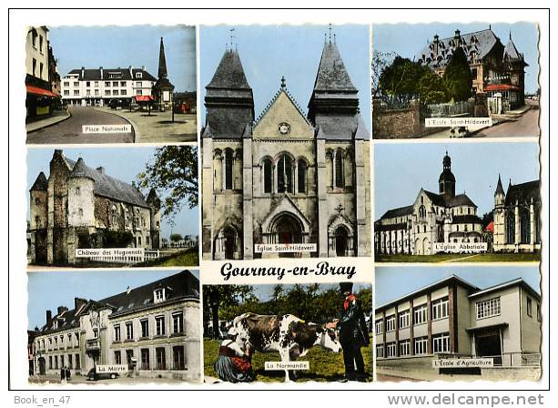 {43798} 76 Seine Maritime Gournay En Bray , Multivues ; Place Château Eglise Mairie Ecoles - Gournay-en-Bray