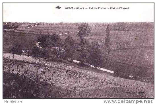 Cpa Gracay (18) Val Du Fouzon , Plaine D' Avesci - Graçay