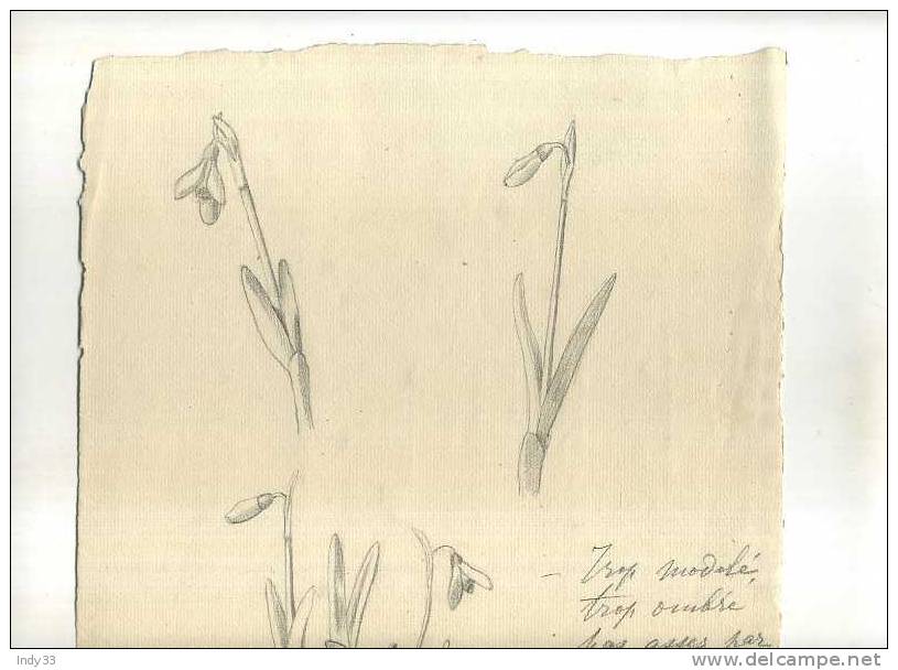 - ETUDE DE FLEURS  . DESSIN  D´ELEVE SIGNE ET DATE 1907 - Zeichnungen