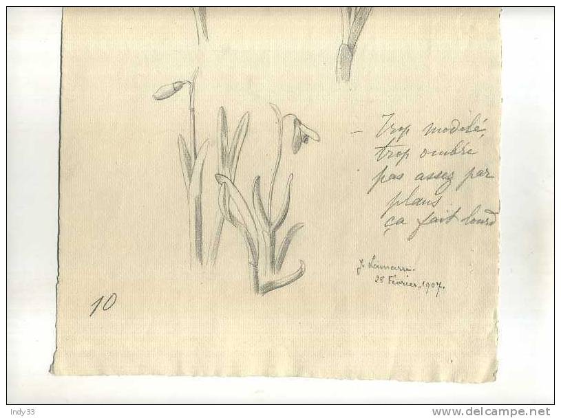 - ETUDE DE FLEURS  . DESSIN  D´ELEVE SIGNE ET DATE 1907 - Dessins