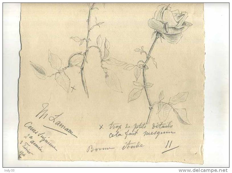 - ETUDE DE FLEURS  . DESSIN  D´ELEVE SIGNE ET DATE 1906 ? - Zeichnungen