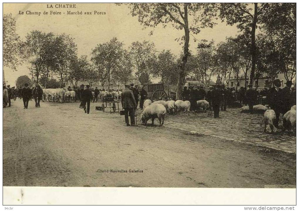 CPA (36) LA CHATRE Le Champ De Foire Marché Aux Porcs - La Chatre