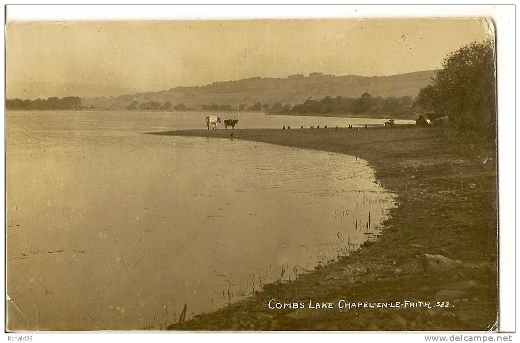 Cp Angleterre : COMBS LAKE CHAPEL EN LE FRITH 522 5 ( Vaches ) - Derbyshire