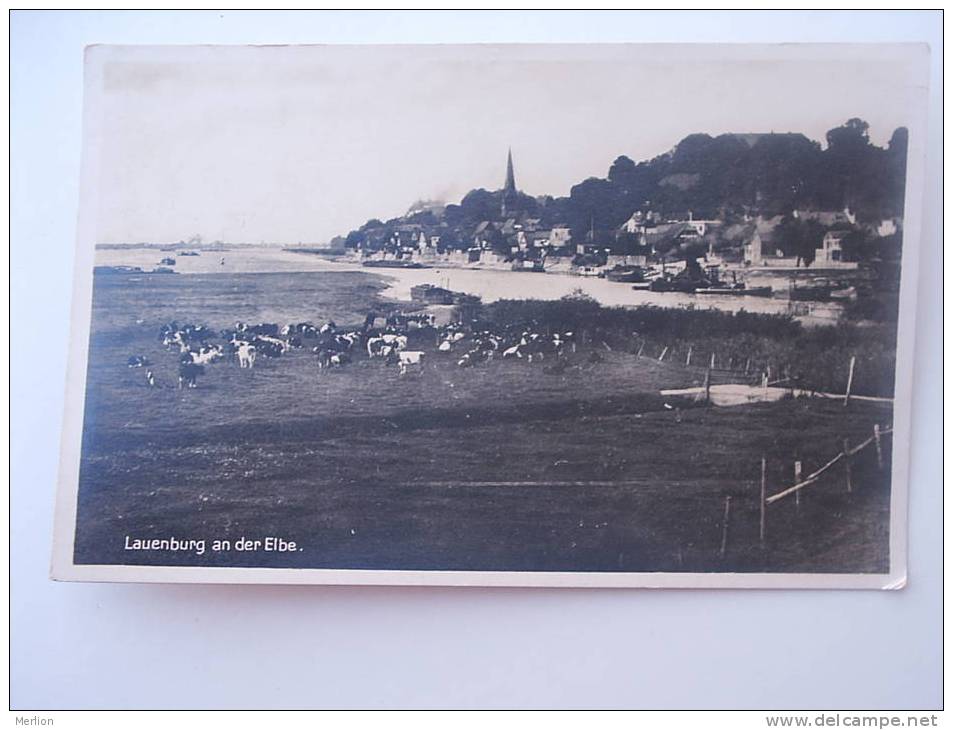 Lauenburg An Der Elbe - FOTO-AK  Cca 1920's  VF  D53722 - Lauenburg