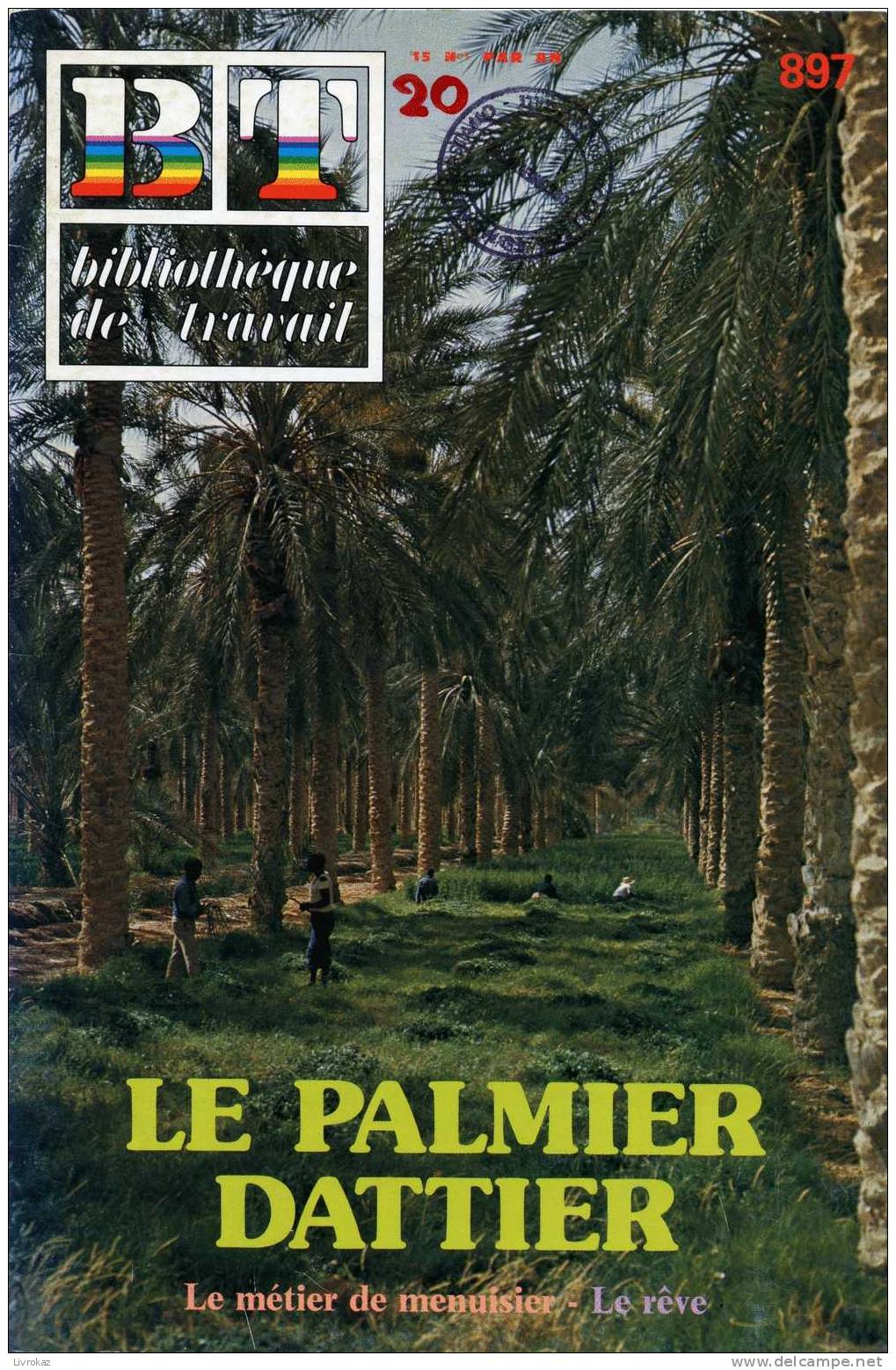 BT N°897 (1980) : Le Palmier Dattier. Bibliothèque De Travail. Freinet. Ghardaïa, Le Métier De Menuisier - Science