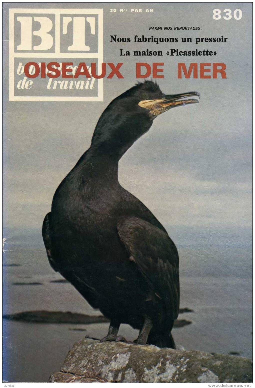 BT N°830 (1976) : Oiseaux De Mer. Bibliothèque De Travail. Freinet. Pétrel, Guillemot, Macareux, Cormoran, Gravelot... - Science