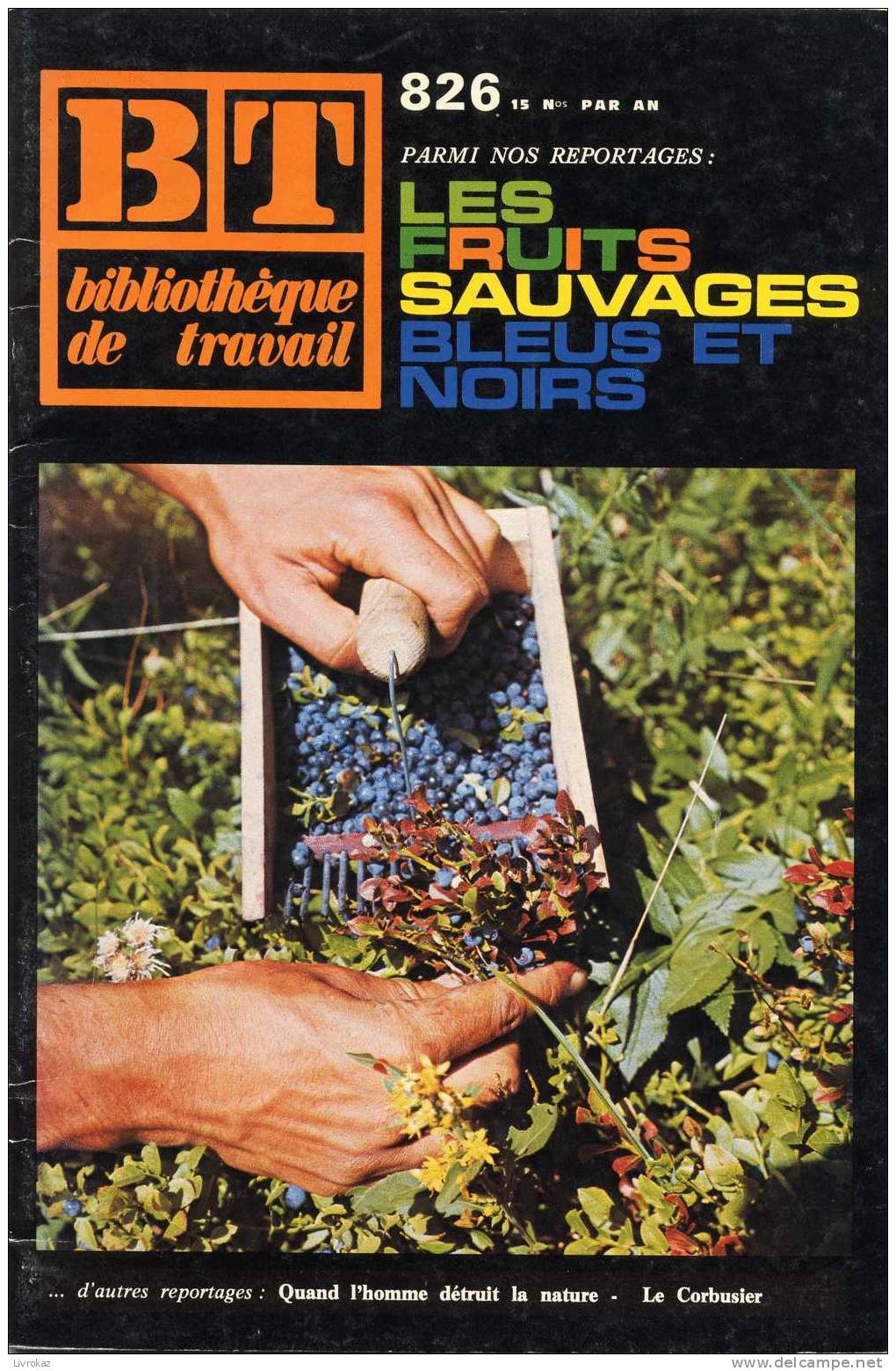 BT N°826 (1976) : Les Fruits Sauvages Bleus Et Noirs. Bibliothèque De Travail. Ronce, Garance, Nerprun, Prunellier... - Science