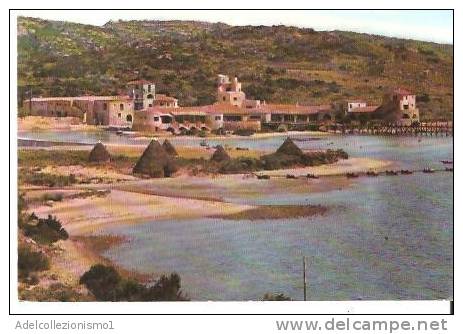 31251)cartolina Illustratoria Costa Smeralda - Cala Volpe - Olbia